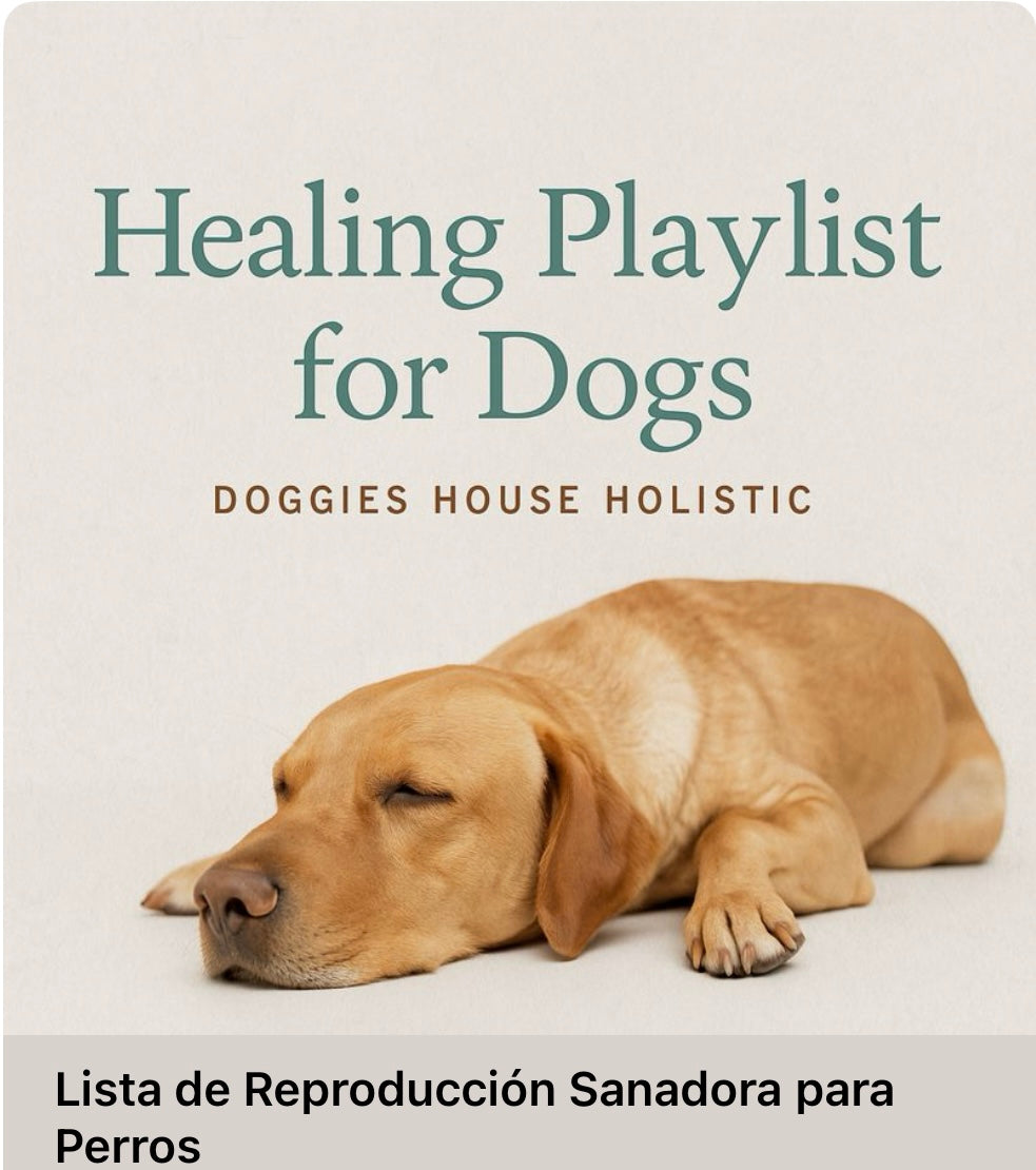 Healing Playlist for Dogs